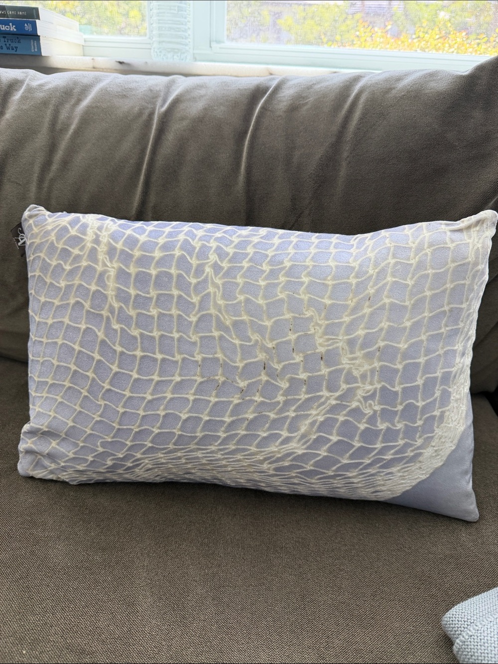 Aviva Stanoff Signature Velvet Net Pillow